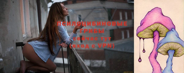 твердый Алексин