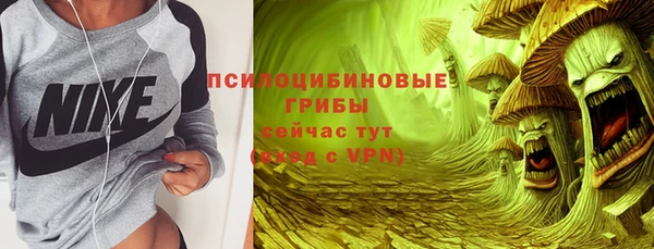твердый Алексин