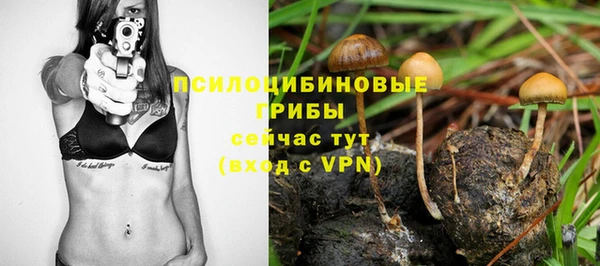 спайс Алексеевка