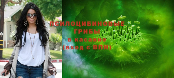 прущие грибы Алзамай