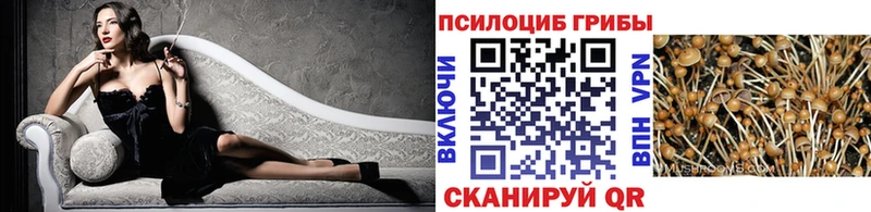 Галлюциногенные грибы Cubensis  Камешково 